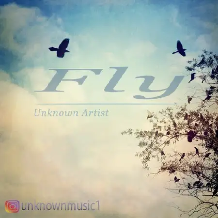 دانلود اهنگ Unknown Artist Fly