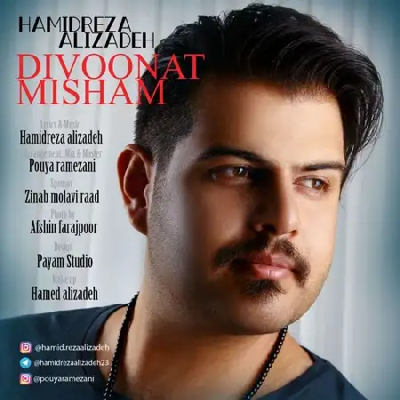 دانلود اهنگ حمیدرضا علیزاده دیونت میشم