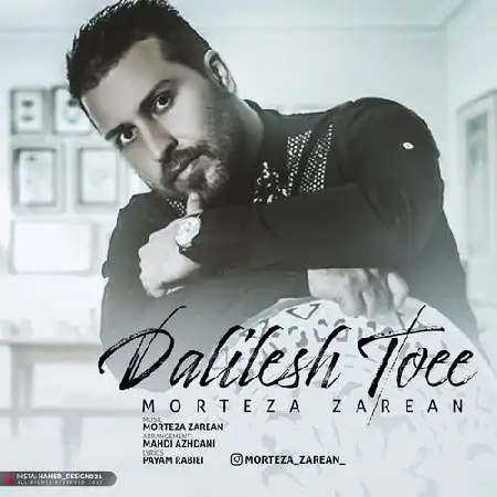 دانلود اهنگ مرتضی زارعان دلیلش تویی
