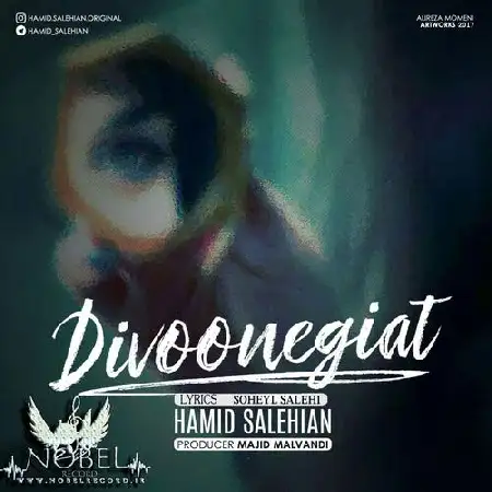 دانلود اهنگ حمید صالحیان دیوونگیات