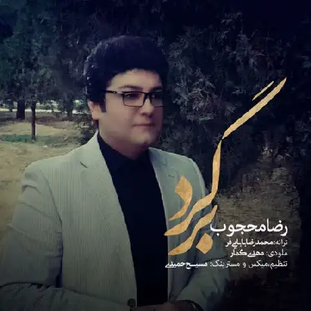 دانلود اهنگ رضا محجوب برگرد