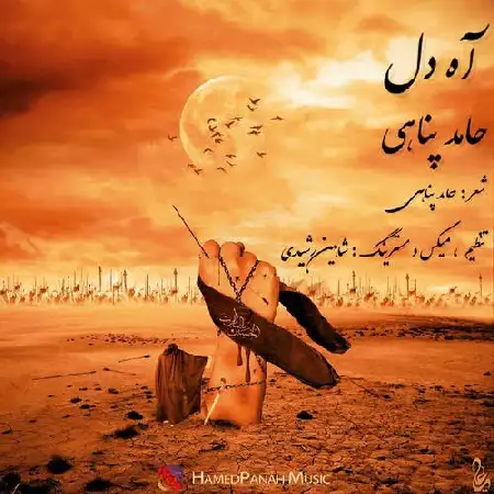 دانلود آلبوم تک اهنگ ها از حامد پناهی