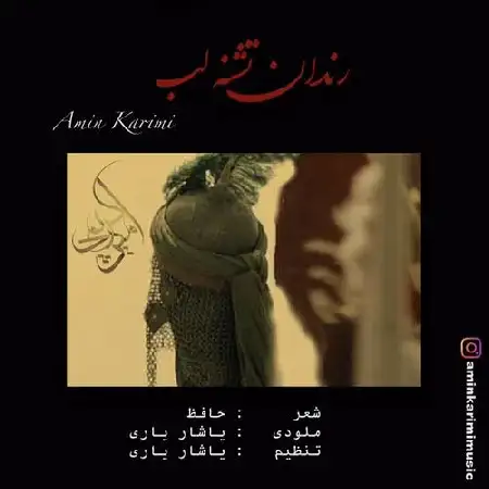 دانلود آلبوم تک اهنگ ها از امین کریمی