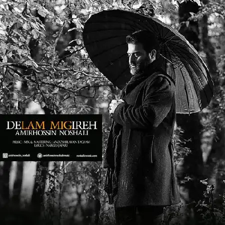 دانلود اهنگ امیر حسین نوشالی دلم میگیره