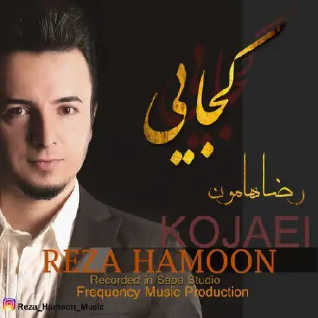 دانلود اهنگ رضا هامون کجایی