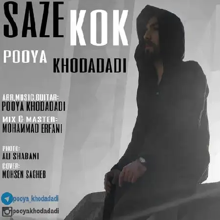 دانلود اهنگ پویا خدادادی ساز کوک