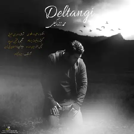 دانلود اهنگ محمد زند وکیلی دلتنگی