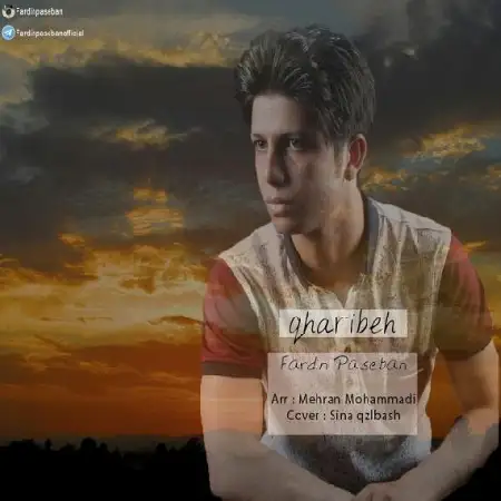 دانلود اهنگ فردین پاسبان غریبه