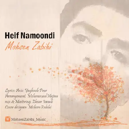 دانلود اهنگ محسن ذبیحی حیف نموندی