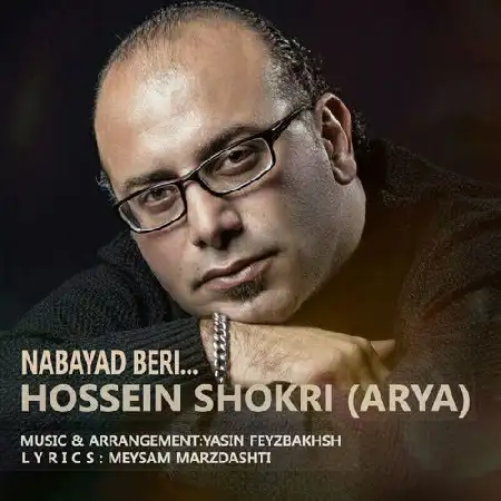 دانلود آلبوم تک اهنگ ها از حسین شکری