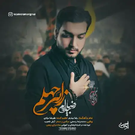 دانلود اهنگ رضا بیدرام زائر چهلم