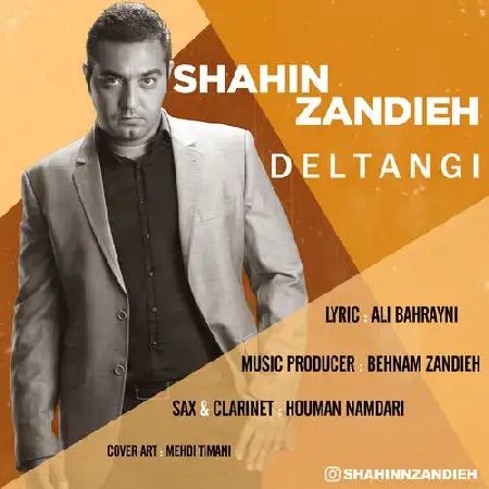 دانلود آلبوم آهنگ تکی از شاهین زندیه