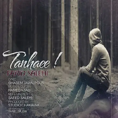 دانلود اهنگ فرید صالحی تنهایی