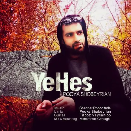 دانلود اهنگ پویا شبیریان یه حس