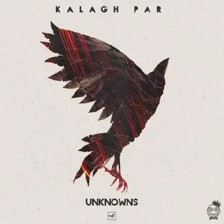 دانلود اهنگ خواننده ناشناس کلاغ پر