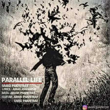 دانلود اهنگ سعید پاک فطرت زندگی موازی