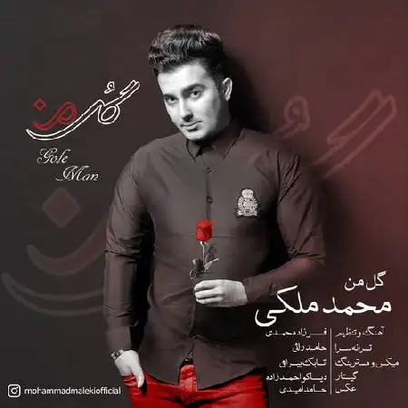 دانلود اهنگ محمد ملکی گل من