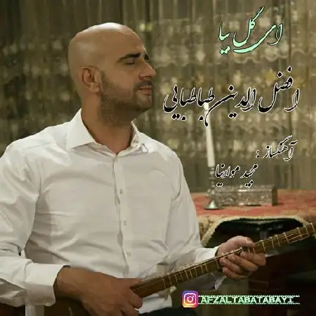 دانلود اهنگ افضل طباطبایی ای گل
