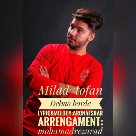 دانلود اهنگ میلاد طوفان دلمو بردی