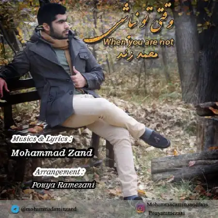 دانلود آلبوم تک اهنگ ها از محمد زند