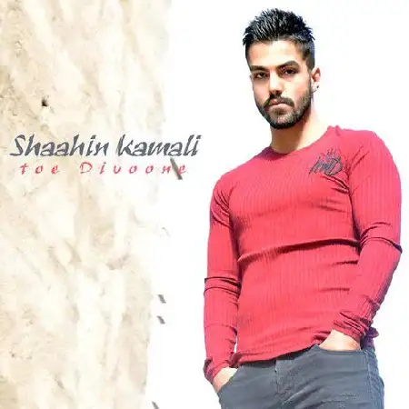 دانلود اهنگ شاهین کمالی توئه دیوونه