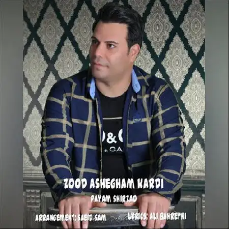 دانلود اهنگ پیام شیرزاد زود عاشقم کردی