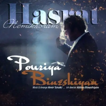 دانلود اهنگ پوریا بینشیان حسرت نمیخورم