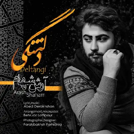 دانلود اهنگ آرش شهام دلتنگی