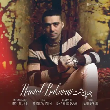 دانلود آلبوم تک اهنگ ها از حامد بهمنی