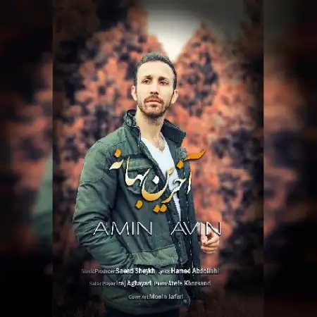 دانلود آلبوم تک اهنگ ها از امین آوین