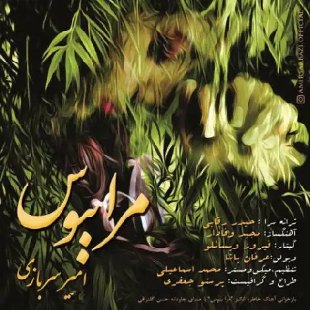 دانلود اهنگ امیر سربازی مرا ببوس