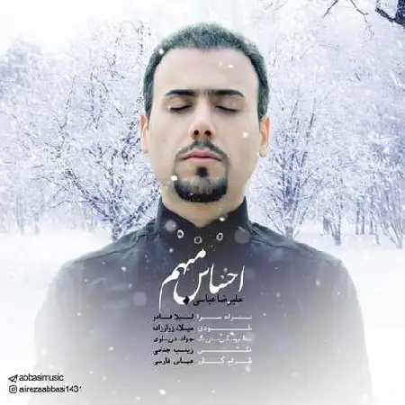 دانلود آلبوم تک اهنگ ها از علیرضا عباسی