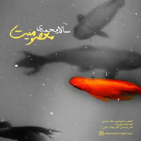 دانلود اهنگ سالار محمدی معصومیت