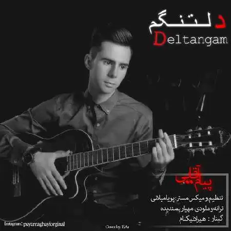 دانلود اهنگ پیام آقایی دلتنگم