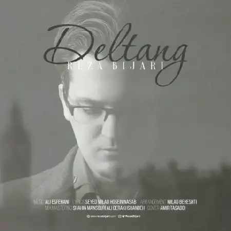 دانلود اهنگ رضا بیجاری دلتنگ