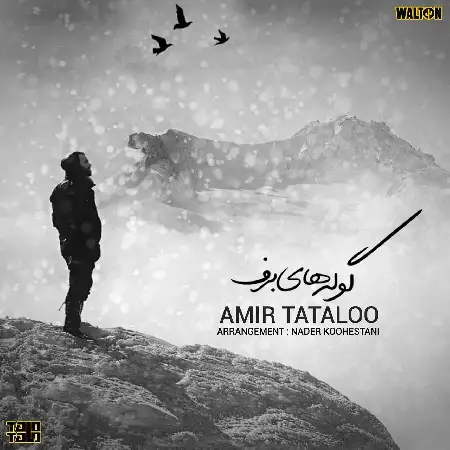 دانلود اهنگ امیر تتلو گوله های برف