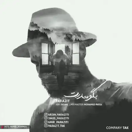 دانلود آلبوم تک اهنگ ها از پارازیت