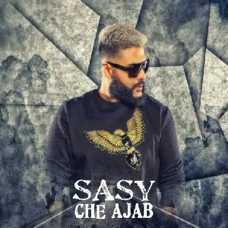 دانلود اهنگ ساسی چه عجب
