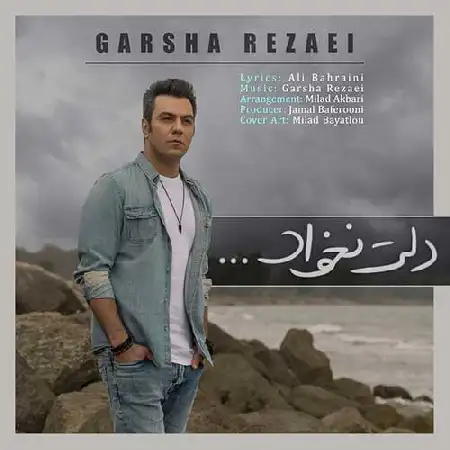 دانلود اهنگ گرشا رضایی دلت نخواد