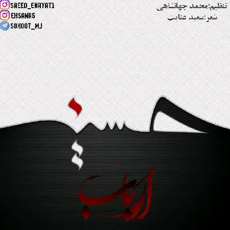 دانلود اهنگ سعید عنایت و احسان ارباب