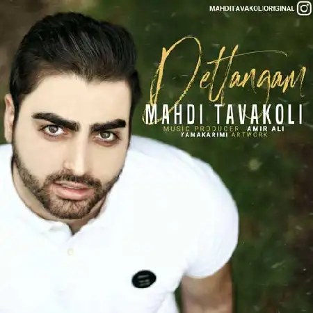 دانلود اهنگ مهدی توکلی دلتنگم