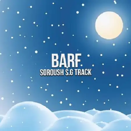 دانلود اهنگ دی جی سروش اس جی ترک برف