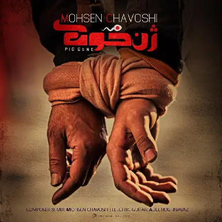 دانلود اهنگ محسن چاوشی حلالم کن