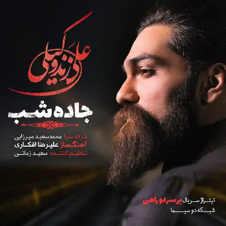 دانلود اهنگ علی زند وکیلی جاده شب