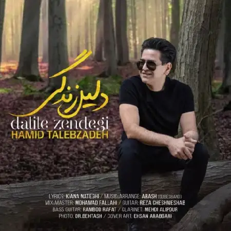 دانلود اهنگ حمید طالب زاده دلیل زندگی