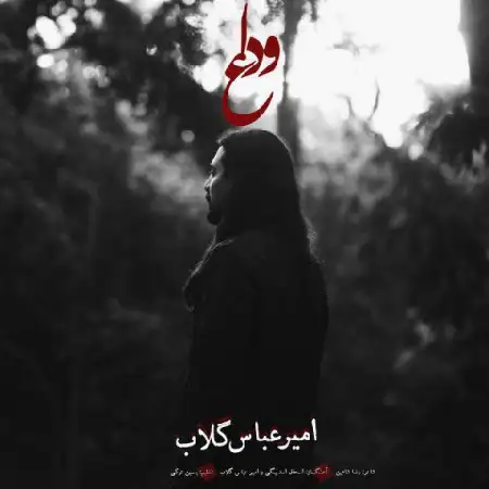 دانلود اهنگ امیر عباس گلاب وداع