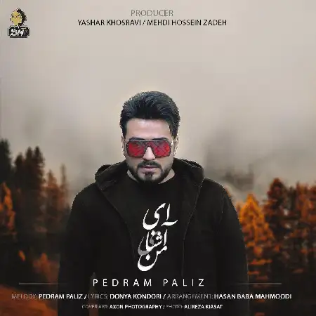 دانلود اهنگ پدرام پالیز ای آشنای من