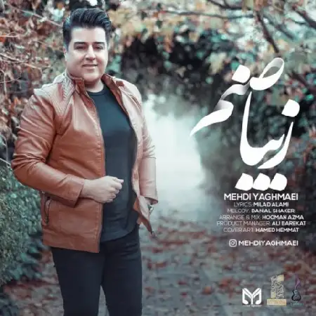 دانلود اهنگ مهدی یغمایی زیبا صنم