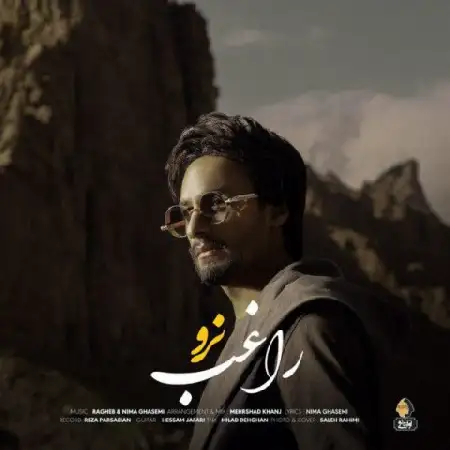 دانلود اهنگ راغب نرو