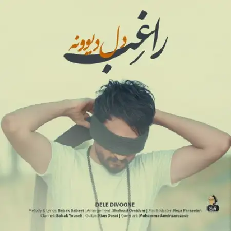 دانلود اهنگ راغب دل دیوونه